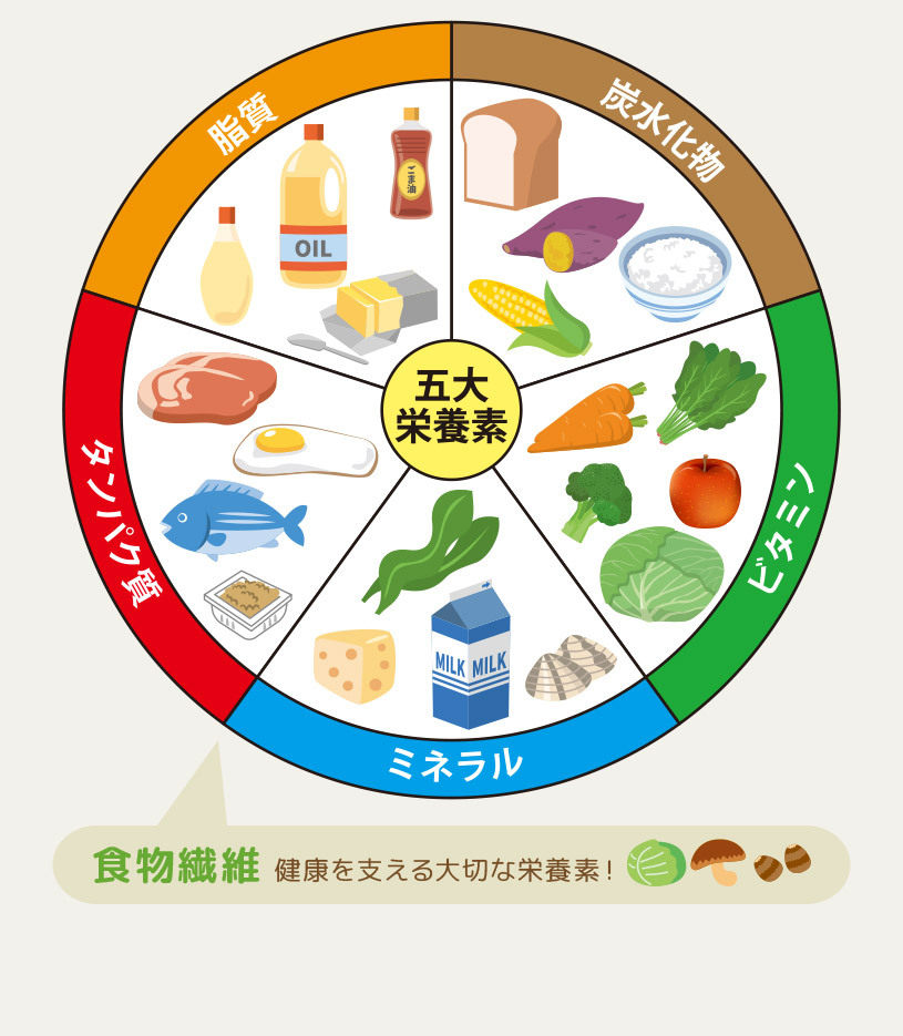 難消化性デキストリン(dextrin)